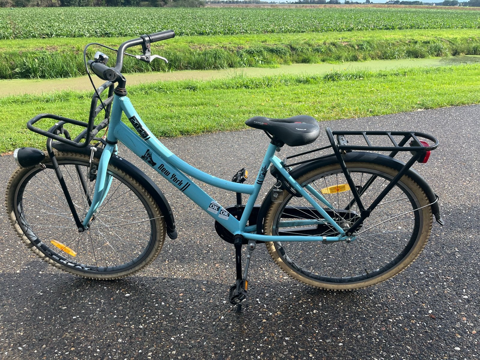 Meisjesfiets New York 2cycle 24 inch, Ophalen, Velgrem, Handrem, Gebruikt