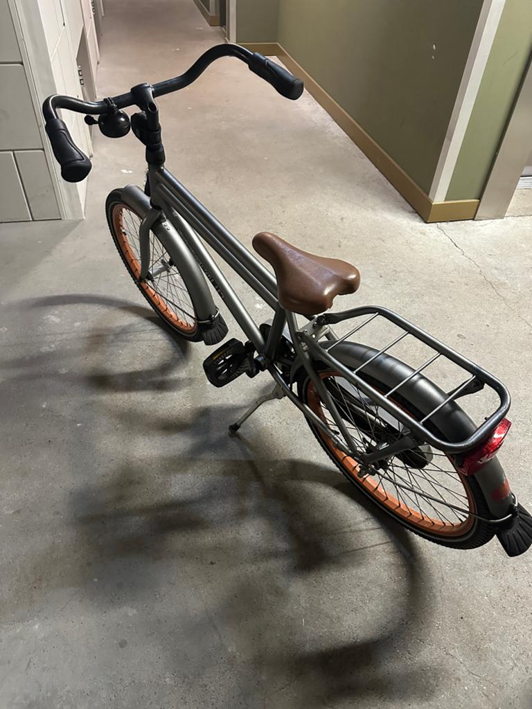 Loekie pick up kinderfiets, Fietsen en Brommers, Fietsen | Kinderfietsjes, Ophalen, Gebruikt, Terugtraprem, 20 inch of meer