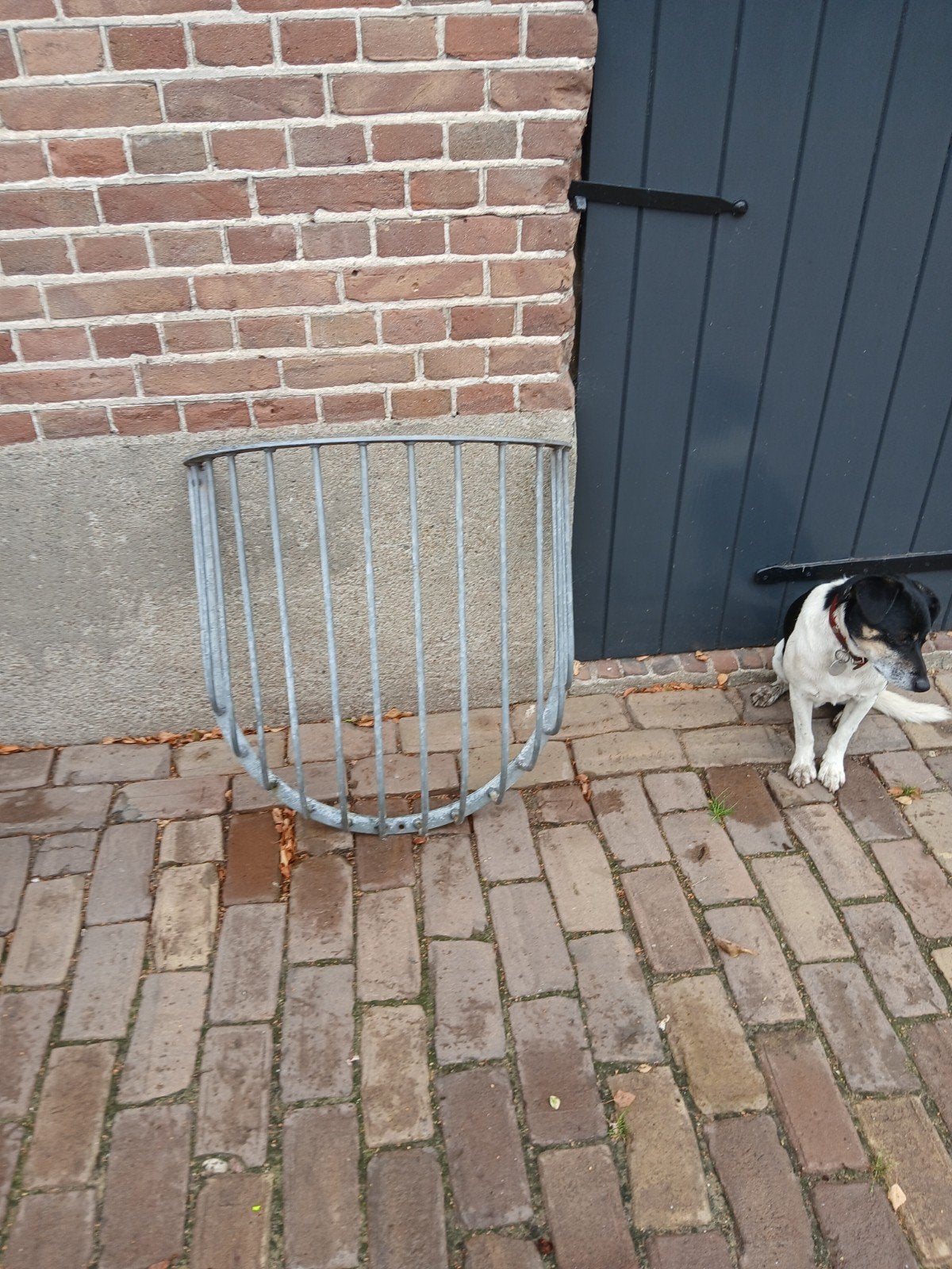 hooiruif, 2 of 3 paarden of pony's