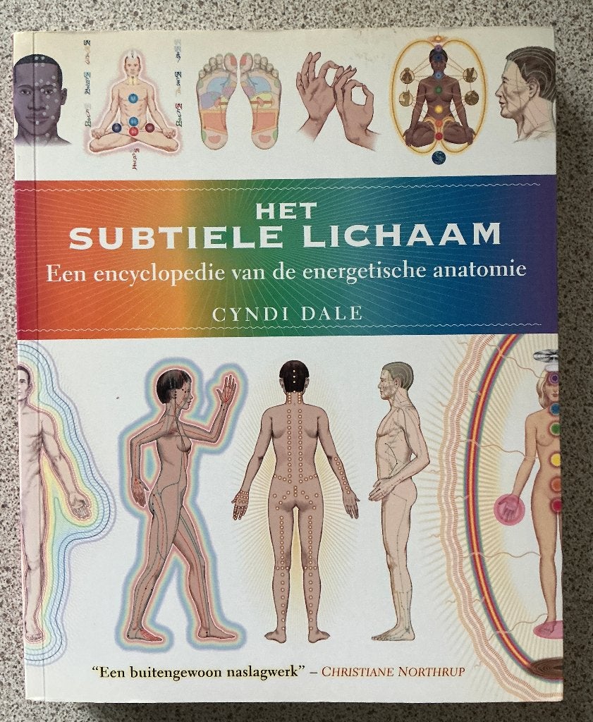 Het subtiele lichaam - Cyndi Dale, Boeken, Spiritualiteit algemeen, Ophalen of Verzenden, Zo goed als nieuw, Cyndi Dale