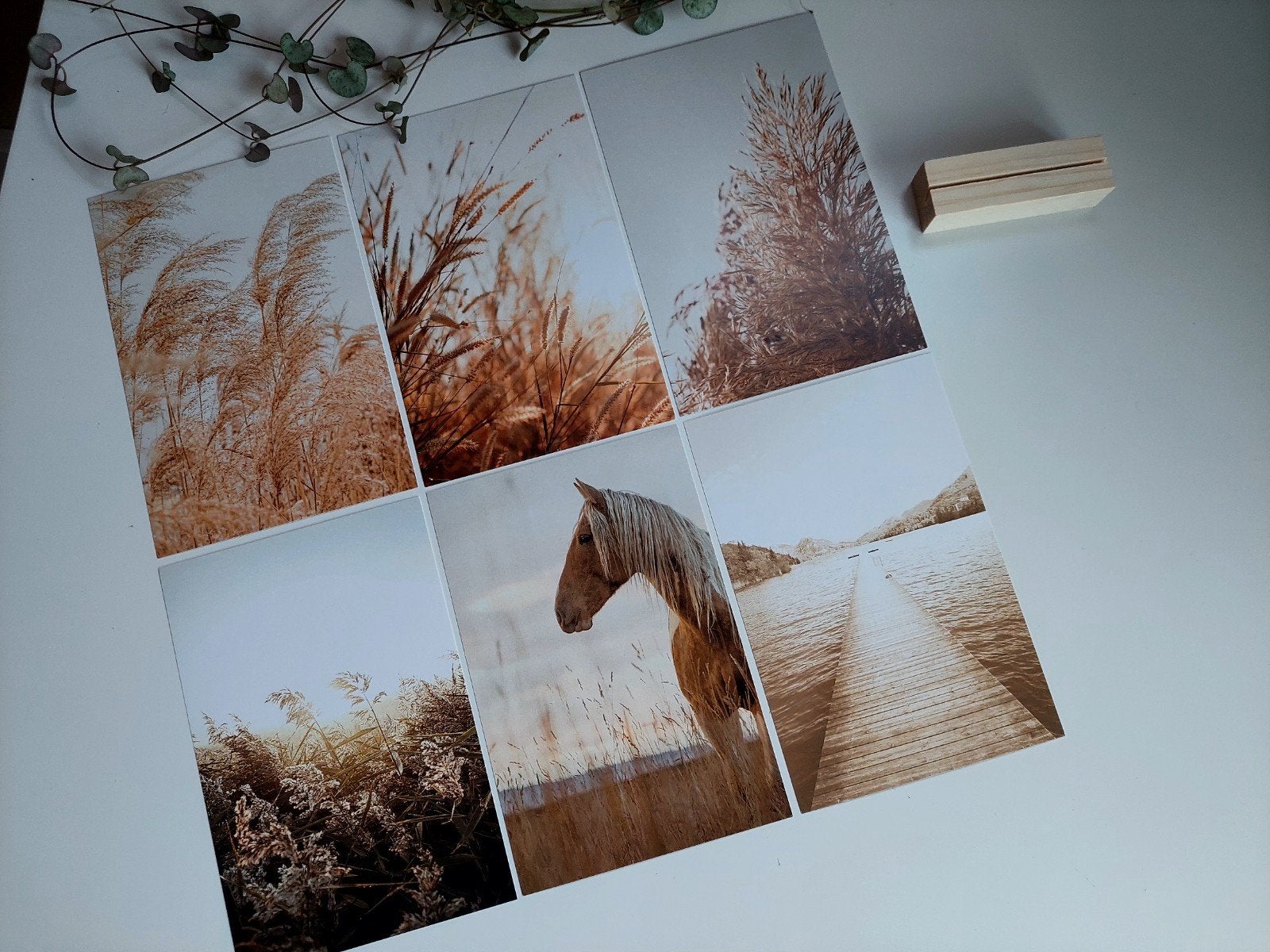 6 posterkaarten incl. houten standaard, Minder dan 50 cm, Nieuw, Ophalen of Verzenden, Foto of Poster