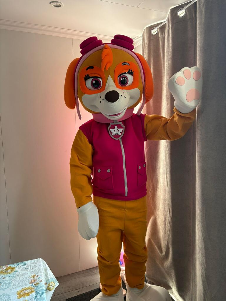 SKYE PAW PATROL MASCOTTE VERHUUR, Ophalen of Verzenden, Zo goed als nieuw, Verjaardag