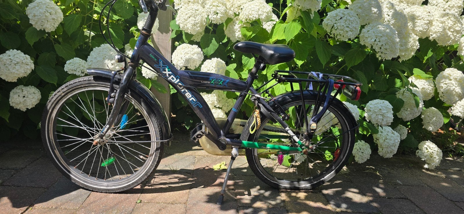 Loekie xplorer opknapper, Ophalen, Gebruikt