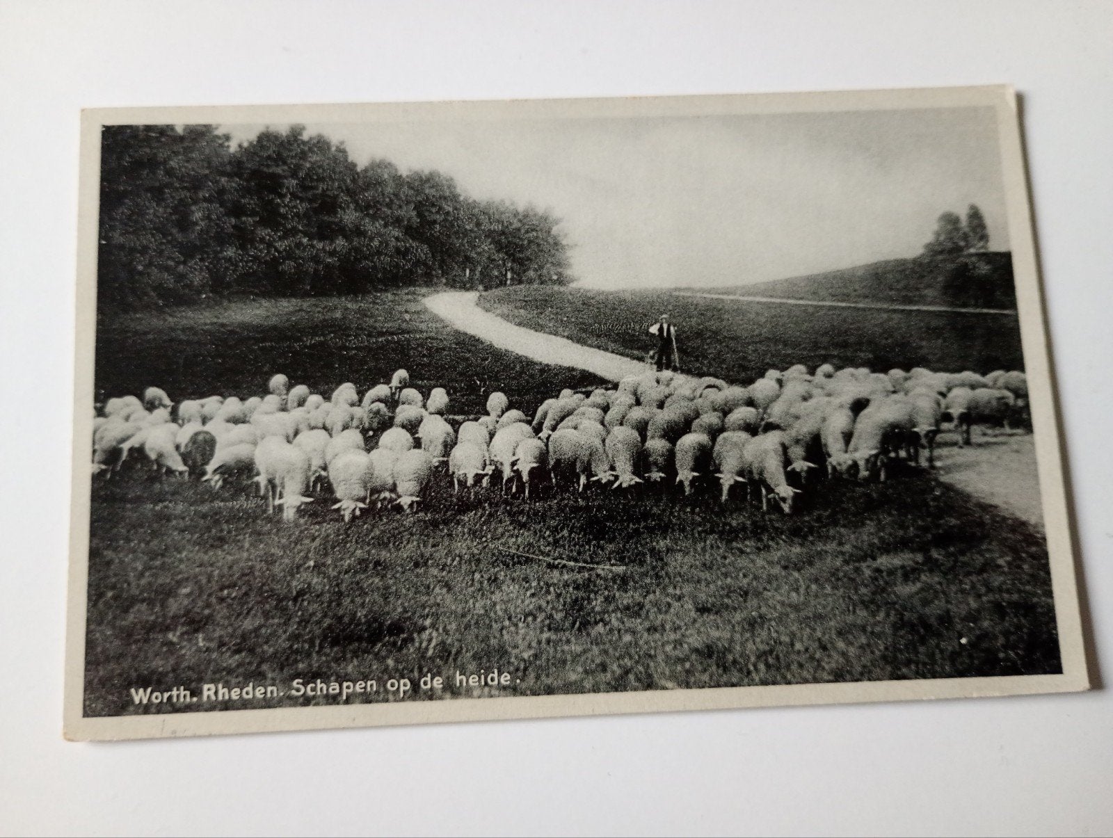 Rheden Schaapsherder met Kudde 1934, Ophalen of Verzenden, 1920 tot 1940, Gelopen, Gelderland