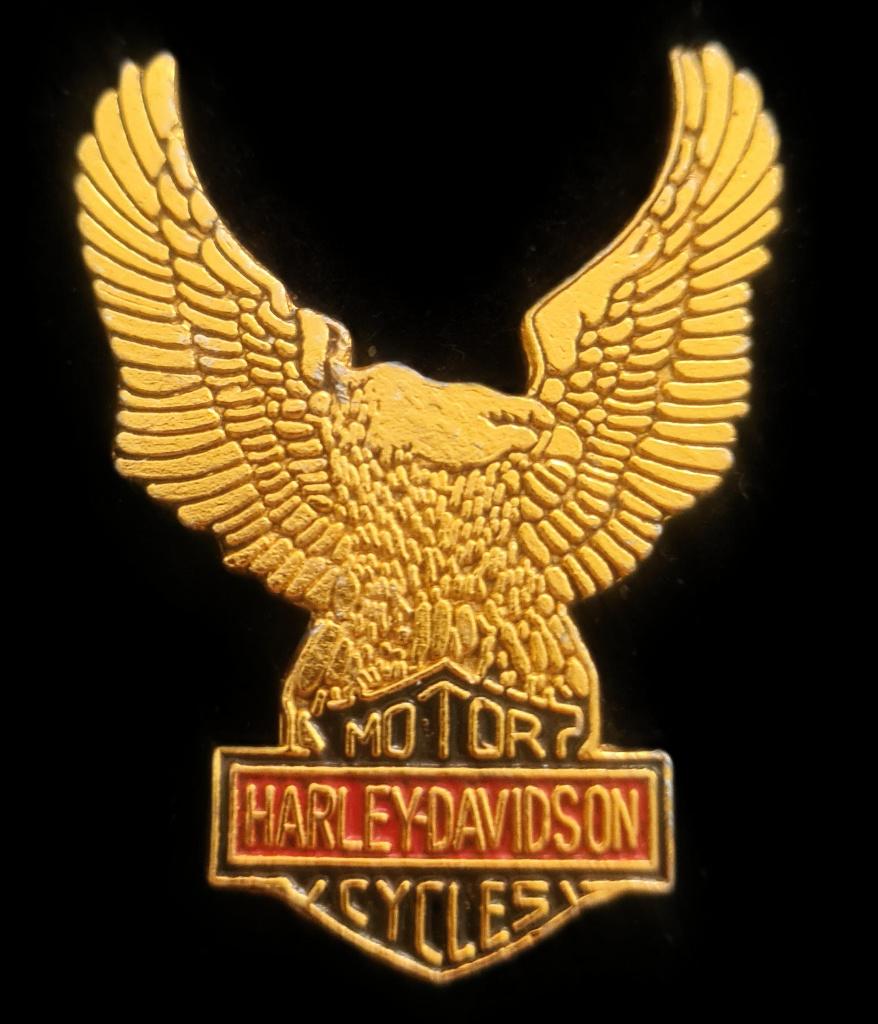 Harley- Davidson 35x45 mm. pin, Verzenden, Nieuw, Transport, Speldje of Pin