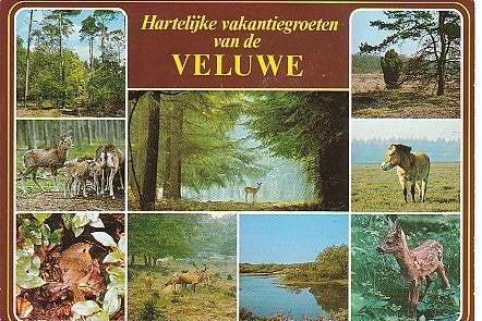 Ansichtkaart	Veluwe	9-luik	Dieren, Verzenden, 1980 tot heden, Gelopen, Gelderland