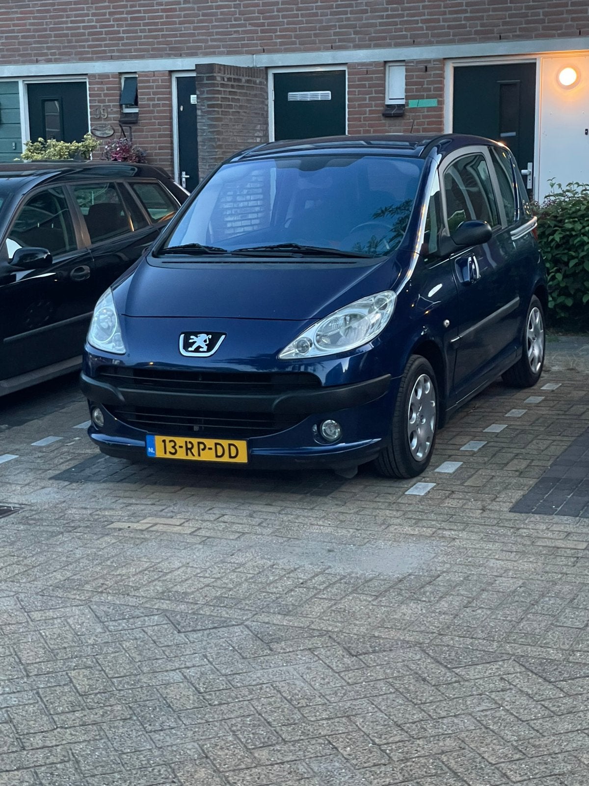 Op zoek naar Bekleding cameleo kit Peugeot 1007, Ophalen, Peugeot