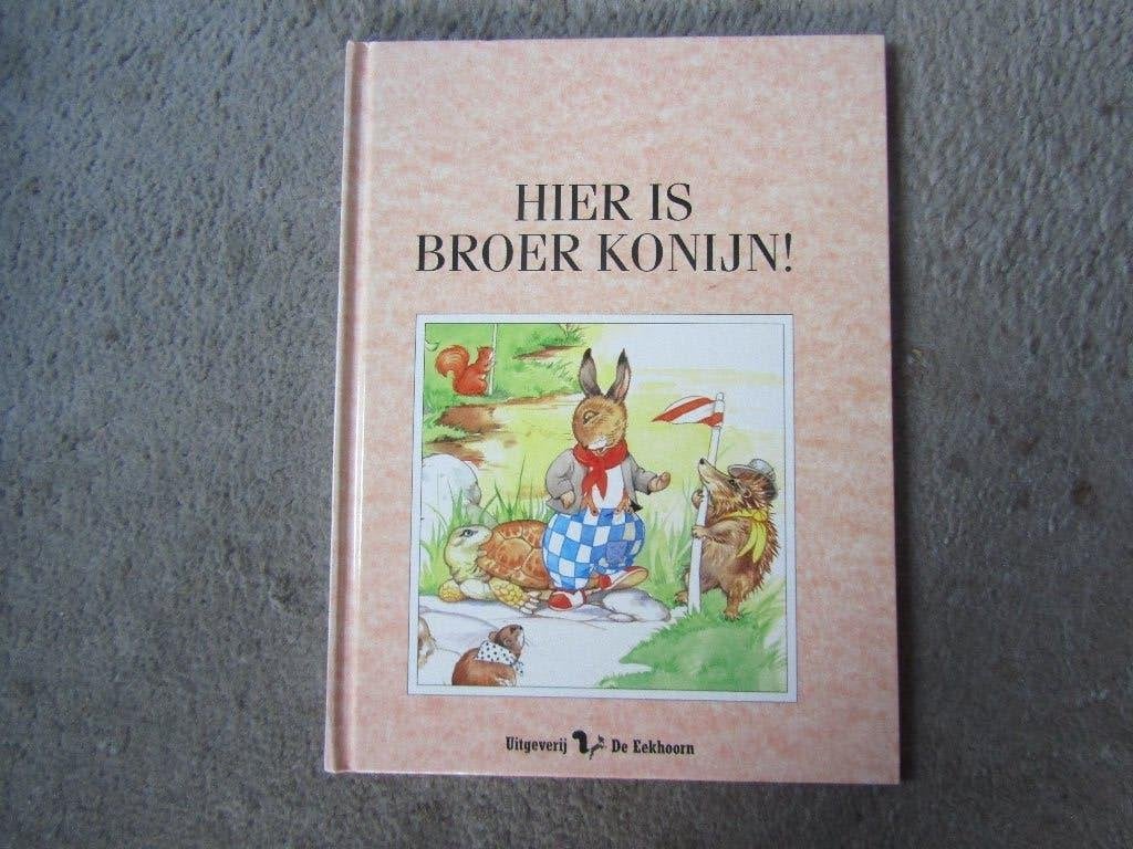 Boek: Hier is broer konijn, Ophalen of Verzenden, Gelezen, Fictie algemeen