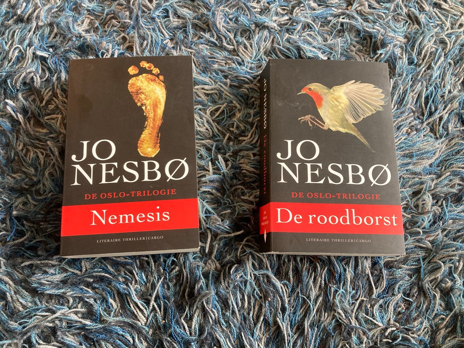 Jo Nesbø - 2 boeken Oslo-trilogie: Nemesis & De Roodborst, Ophalen of Verzenden, Zo goed als nieuw, Scandinavië