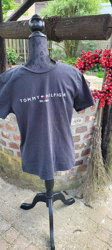 TOMMY HILFIGER grijs shirt tshirt maat L ipst, Maat 52/54 (L), Tommy Hilfiger, Ophalen of Verzenden, Grijs