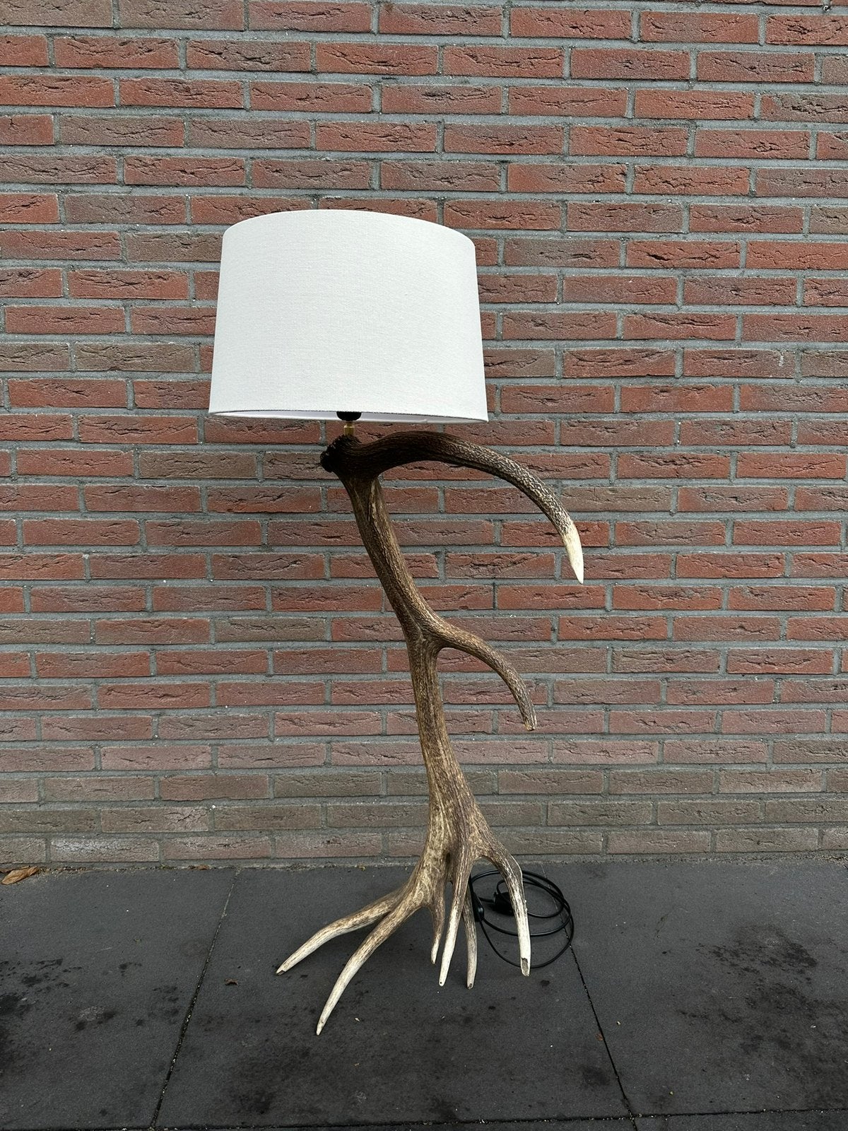 Geweilamp.schemerlamp.geweien.edelhert.damhert.tafellamp., Ophalen, Nieuw, Minder dan 100 cm