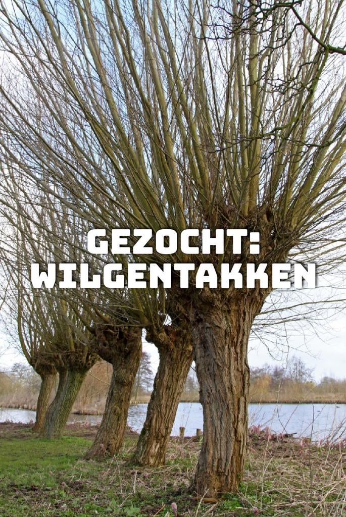 Ik ben op zoek naar een bosje wilgentakken, Eén persoon, Overige typen