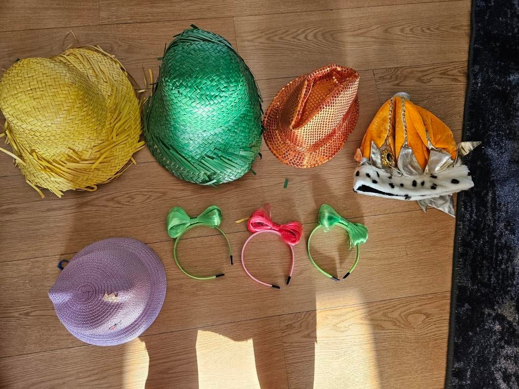 Verschillende hoedjes en haarbanden, Kinderen en Baby's, Carnavalskleding en Verkleedspullen, Ophalen of Verzenden, Gebruikt, Jongen of Meisje