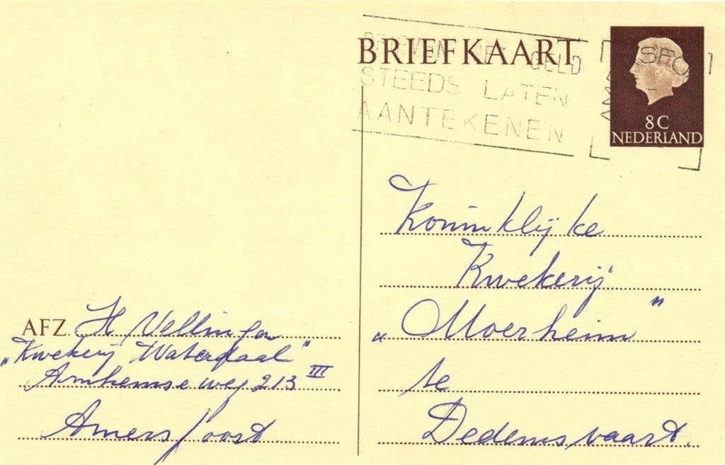 Kwekerij Waterdaal, Amersfoort - 09.1962 - briefkaart, Ophalen of Verzenden, Briefkaart