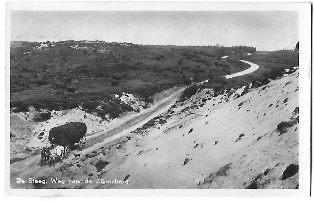 De Steeg Weg Naar Zijpenberg  Ansichtkaart uit 1965  (B632), Ophalen of Verzenden, 1960 tot 1980, Gelopen, Gelderland