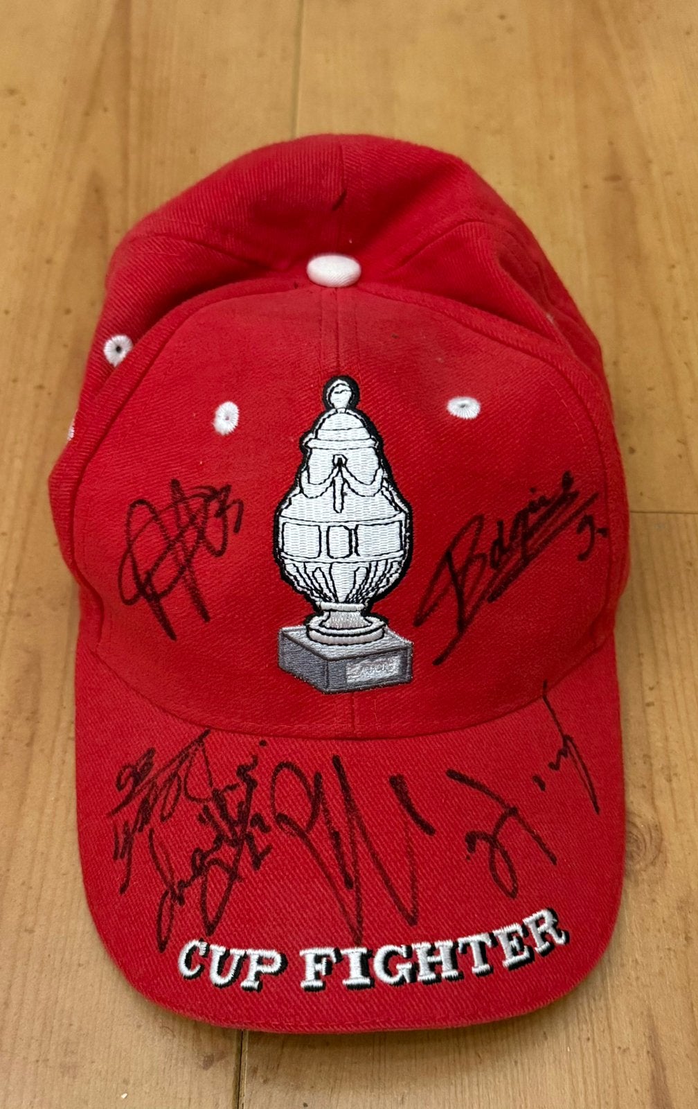FC Twente pet, Ophalen of Verzenden, Zo goed als nieuw, F.C. Twente, Vaantje of Sjaal