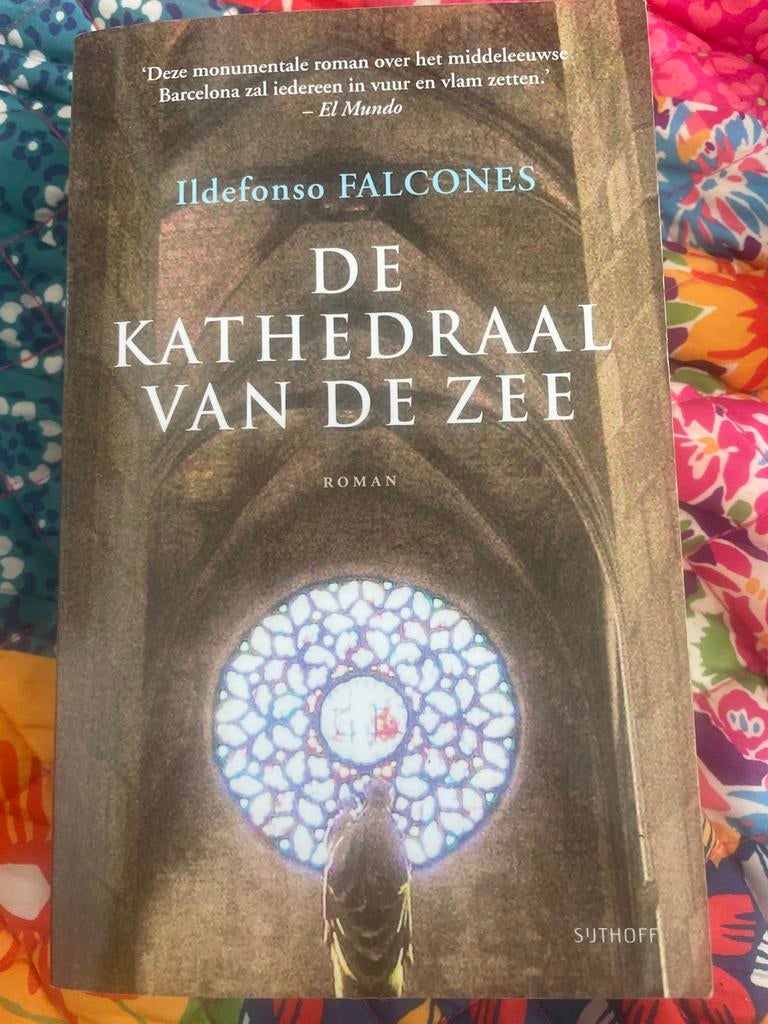 De Kathedraal van de Zee - Ildefonso Falcones, Boeken, Romans, Zo goed als nieuw, Europa overig, Ophalen of Verzenden