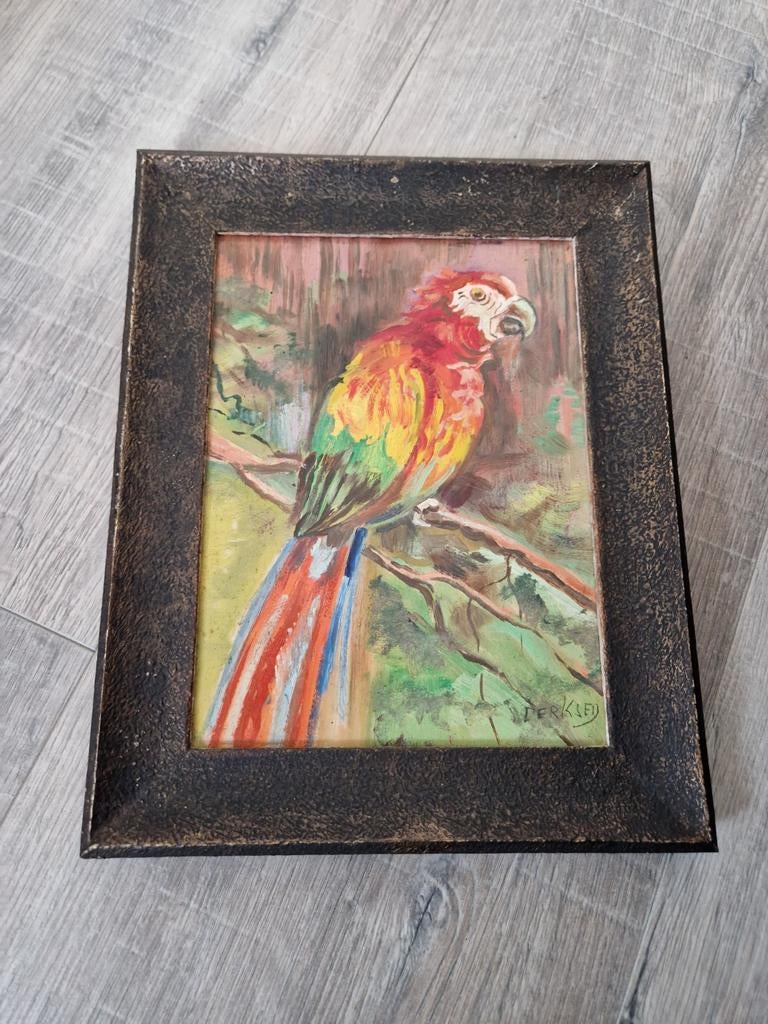 Schilderij papegaai gesigneerd Derksen, Ophalen of Verzenden