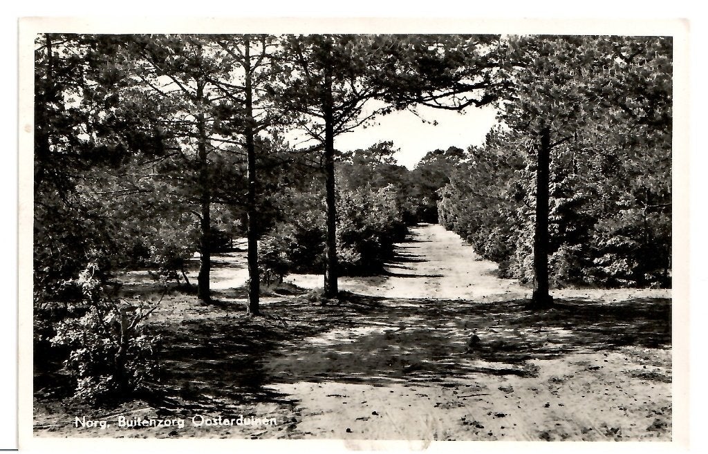 Norg - Buitenzorg Oosterduinen, Ophalen of Verzenden, 1940 tot 1960, Gelopen, Drenthe