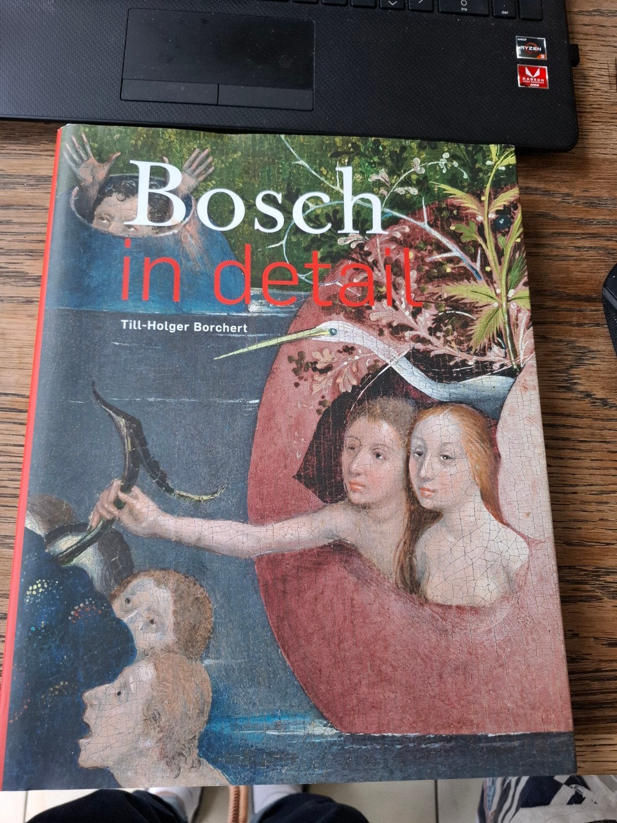 Bosch in detail - Till-Holger Borchert, Ophalen of Verzenden, Zo goed als nieuw, Schilder- en Tekenkunst, Till-Holger Borchert