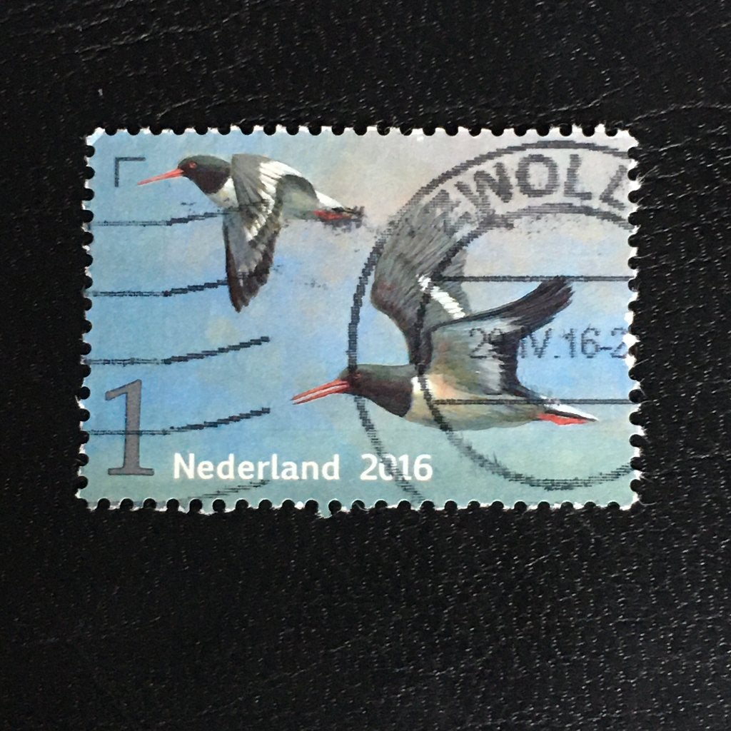 2004 Nederland 2016 NVPH 3402 Griend, Scholekster gestempeld, Ophalen of Verzenden, Na 1940, Gestempeld