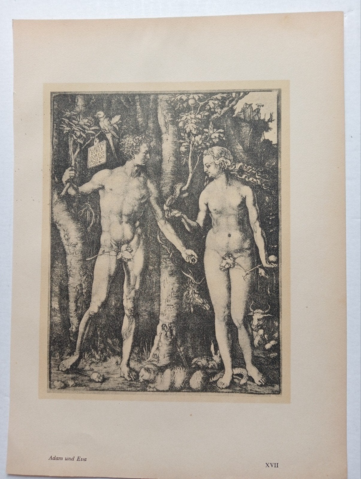 Albrecht Dürer offset prent Adam en Eva, Antiek en Kunst, Ophalen of Verzenden