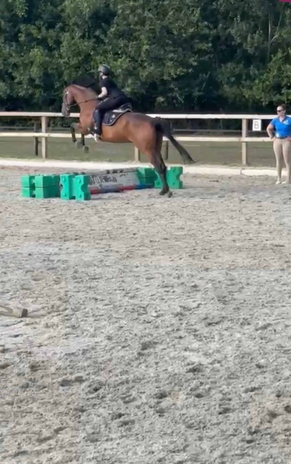 bijrijder aangeboden, Dieren en Toebehoren, Paarden en Pony's | Verzorgingsproducten, Ophalen of Verzenden, Nieuw