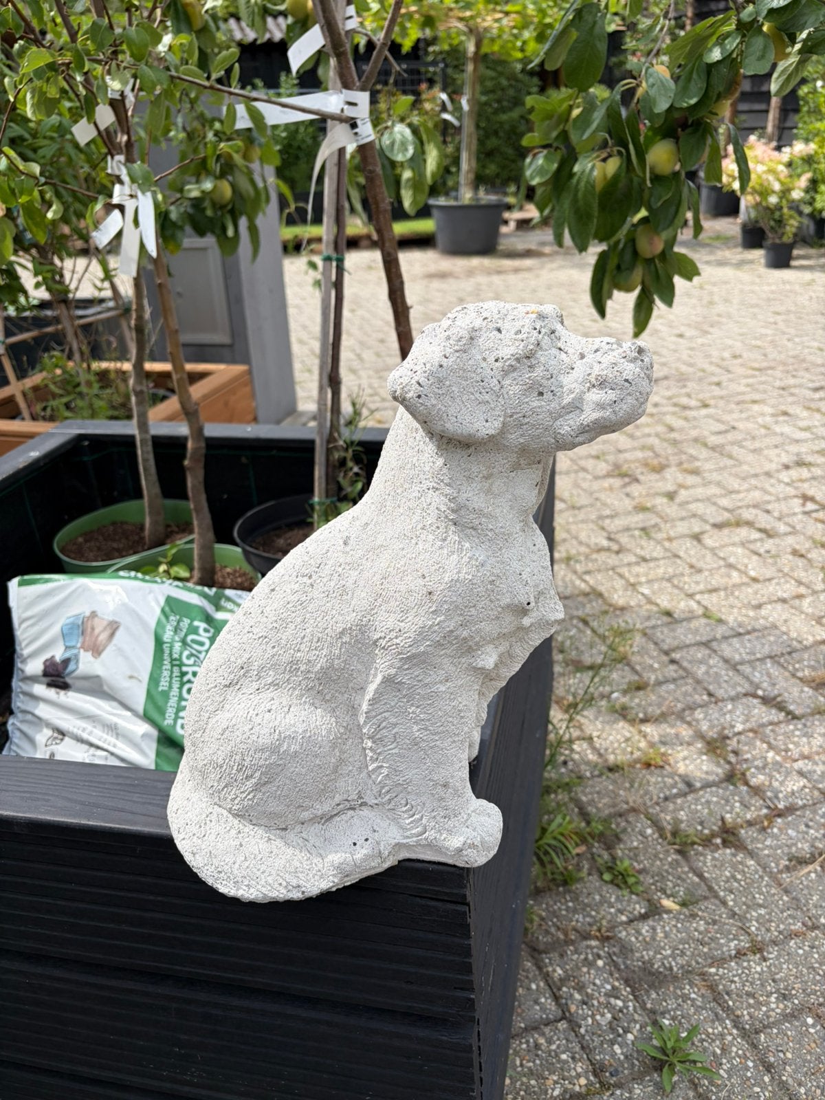 Hondje van sierbeton 37 cm hoog €24,99, Ophalen of Verzenden, Zo goed als nieuw, Dier