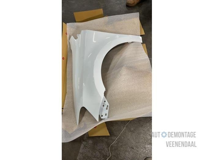 Scherm links-voor van een Volkswagen Polo (LC9A), -, Volkswagen, -, Nieuw