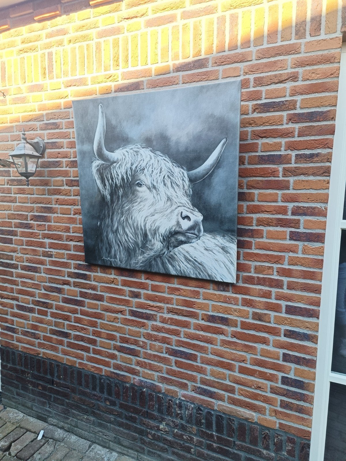 tuinposter hooglander, Ophalen