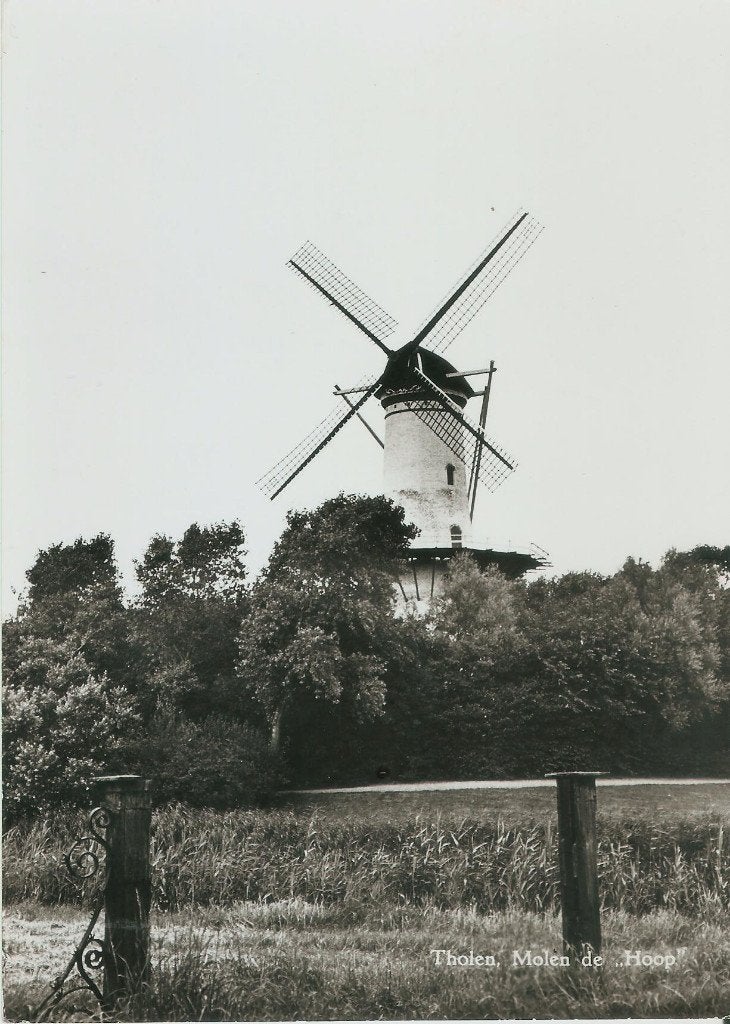 Tholen Molen de Hoop 1973 groot formaat, Ophalen of Verzenden, 1960 tot 1980, Ongelopen, Zeeland
