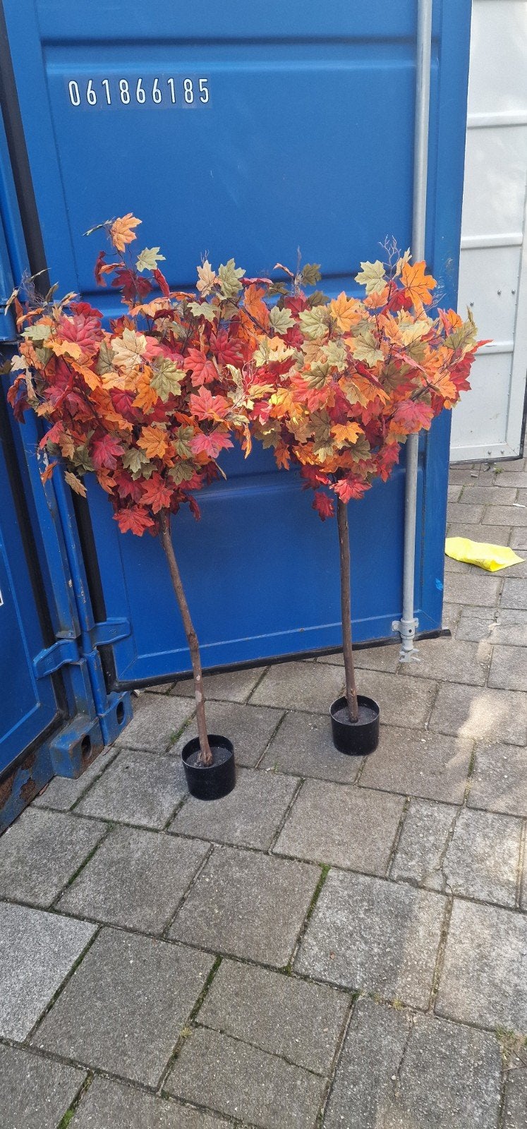 breng kleur in je huis of zaak., 160 cm, Textiel, Ophalen of Verzenden, Zo goed als nieuw