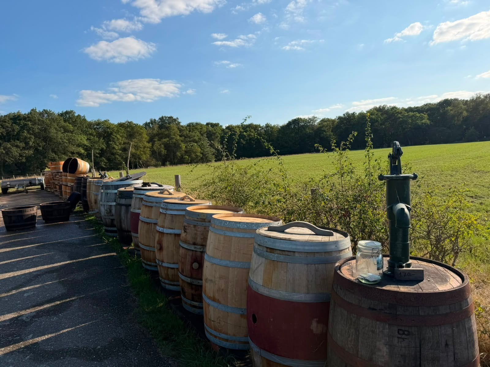 Regenton van robuust eikenhout (wijn/whiskyvat) 225L, 150 liter of meer, Ophalen, Gebruikt, Hout
