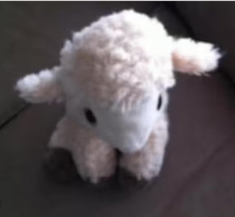Knuffel schaap H 30 br 40 cm, Overige typen, Ophalen of Verzenden, Zo goed als nieuw, Middelgroot (20 tot 80 cm)