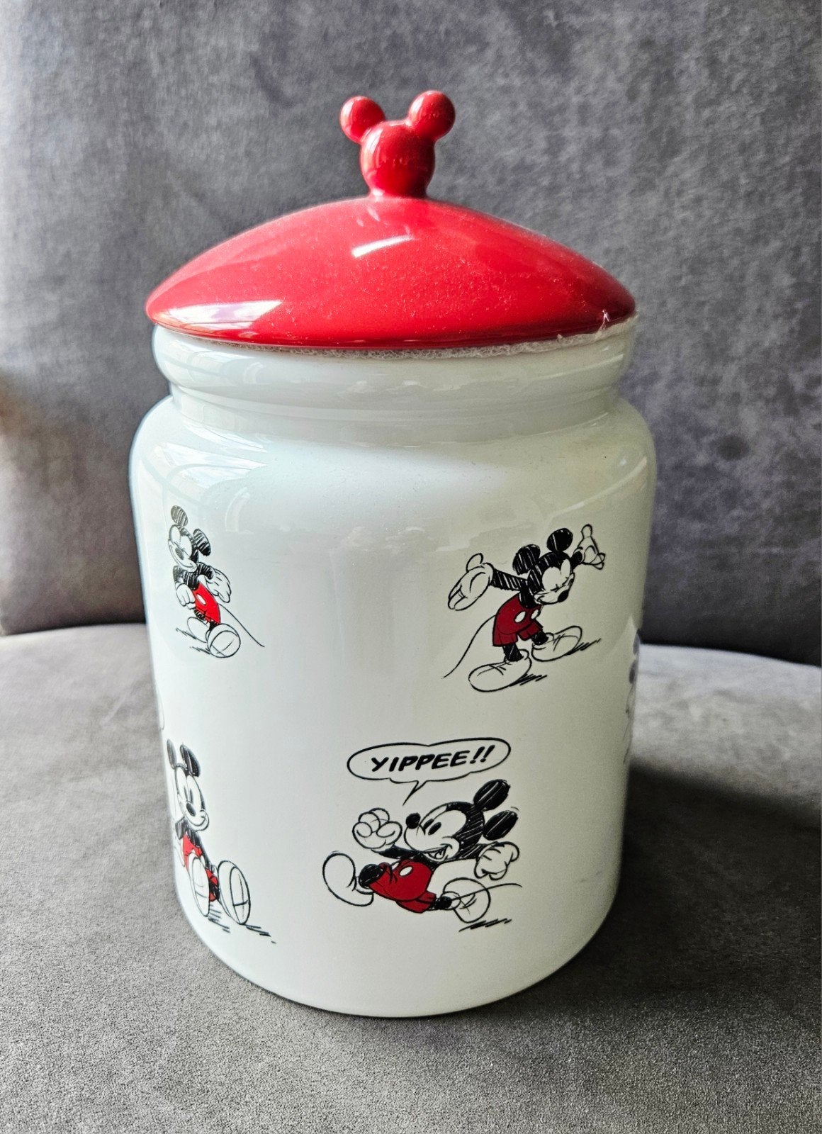 Mickey Mouse voorraadpot, Ophalen, Zo goed als nieuw, Overige materialen, Pot, Bus of Blik