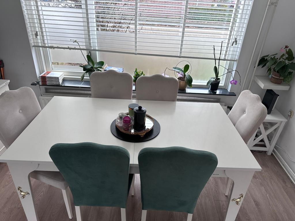 Eetkamer stoelen, Huis en Inrichting, Stoelen, Ophalen of Verzenden, Gebruikt, Overige kleuren, Vier