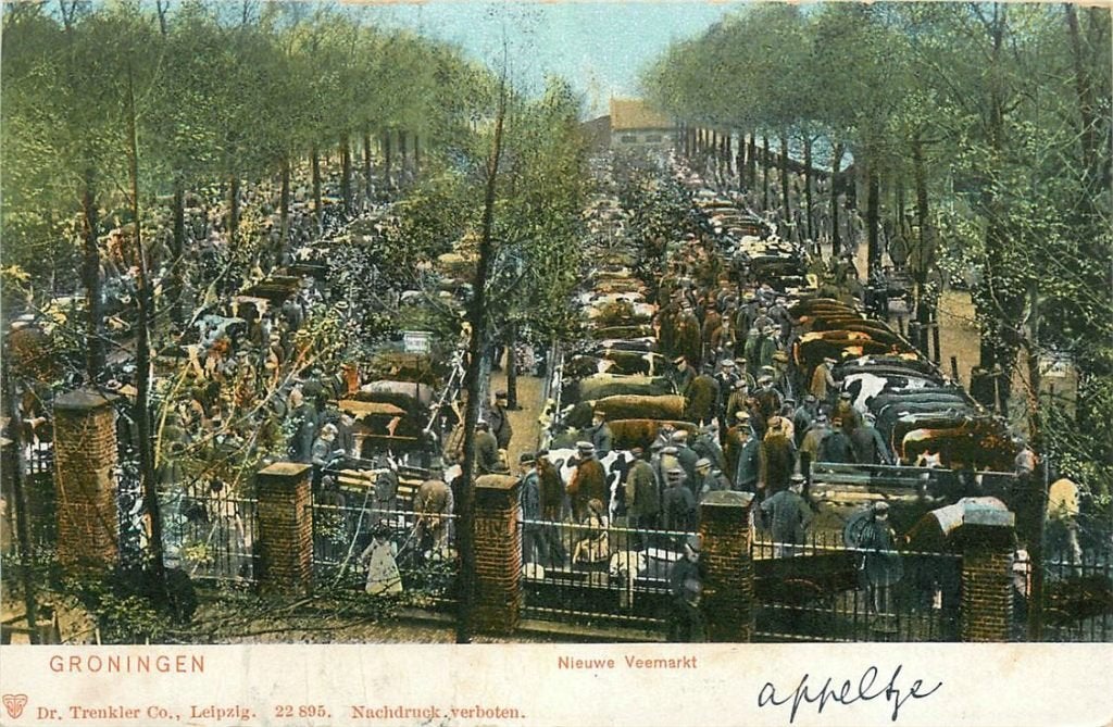 701-020-017 Groningen Nieuwe Veemarkt, Verzamelen, Ophalen of Verzenden, Voor 1920, Groningen