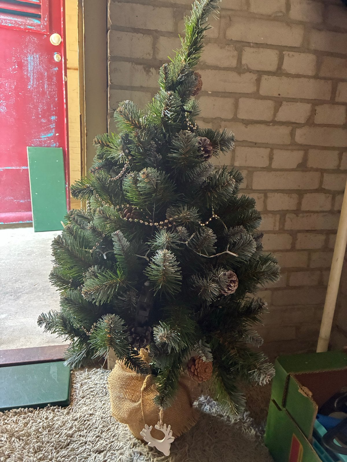 Kerstboom op kluit, Ophalen of Verzenden