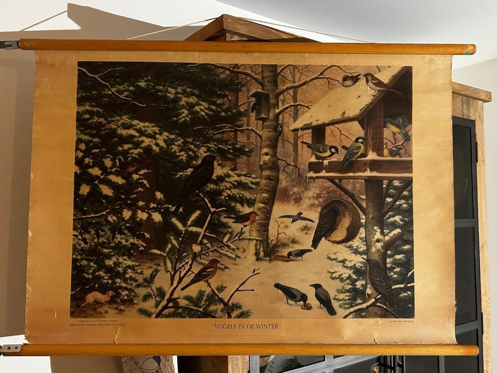 Vogels in de winter, Antiek en Kunst, Antiek | Schoolplaten, Ophalen of Verzenden, Natuur en Biologie