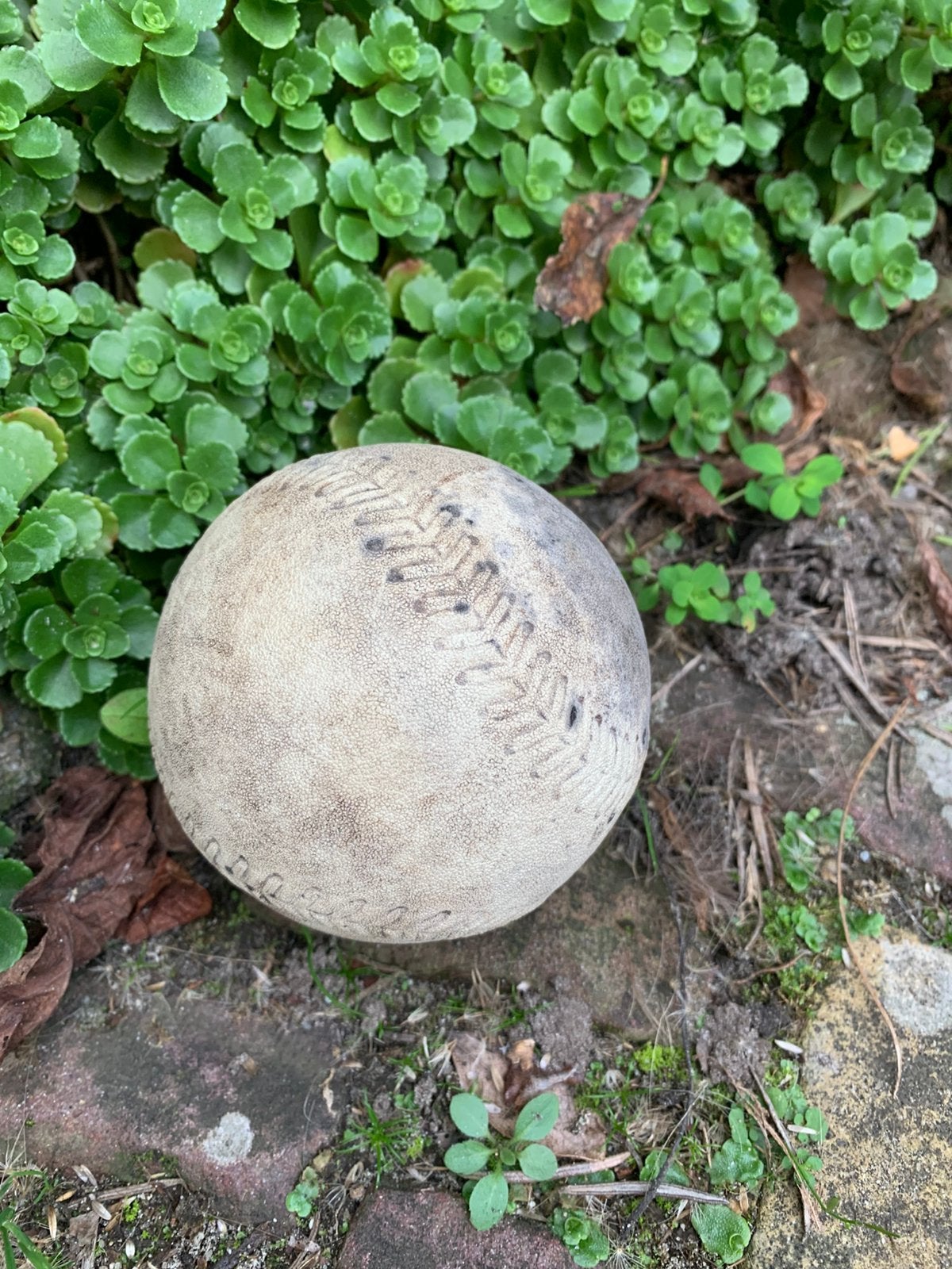 Softbal, Ophalen of Verzenden, Gebruikt