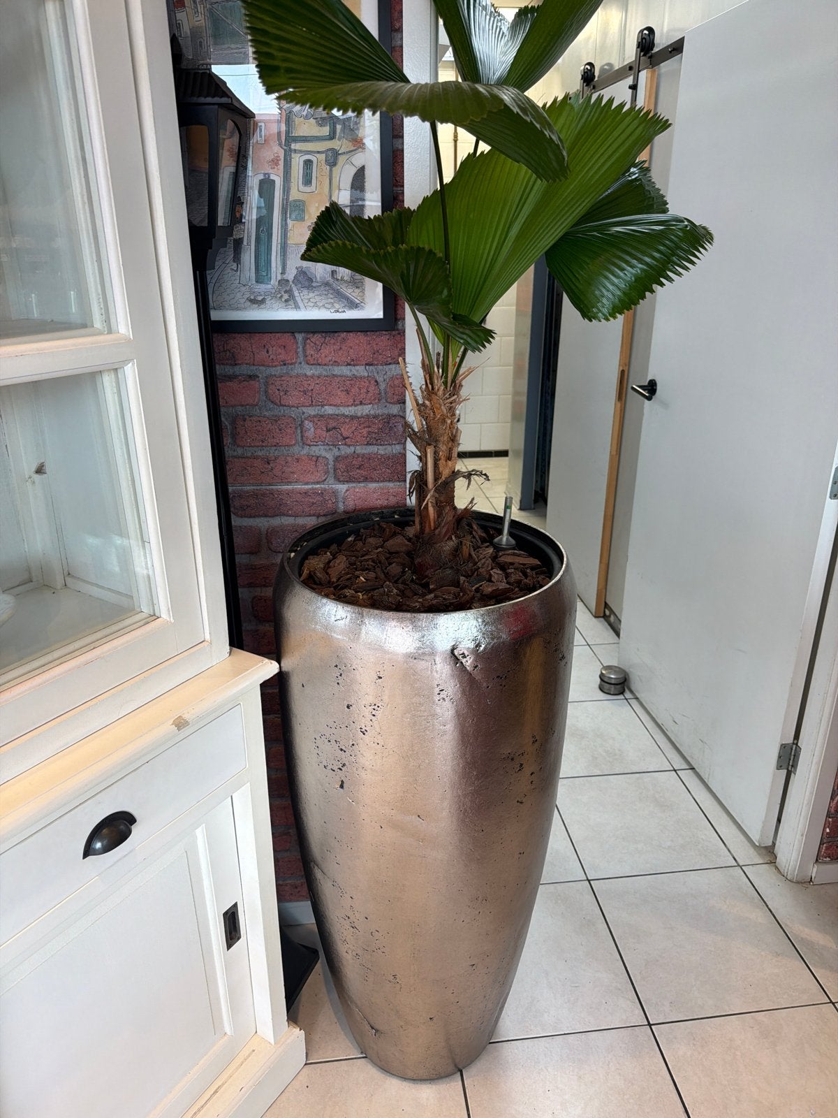 Grote zilverkleurige plantenbak met palm, Gebruikt, Binnen, Metaal, Overige vormen