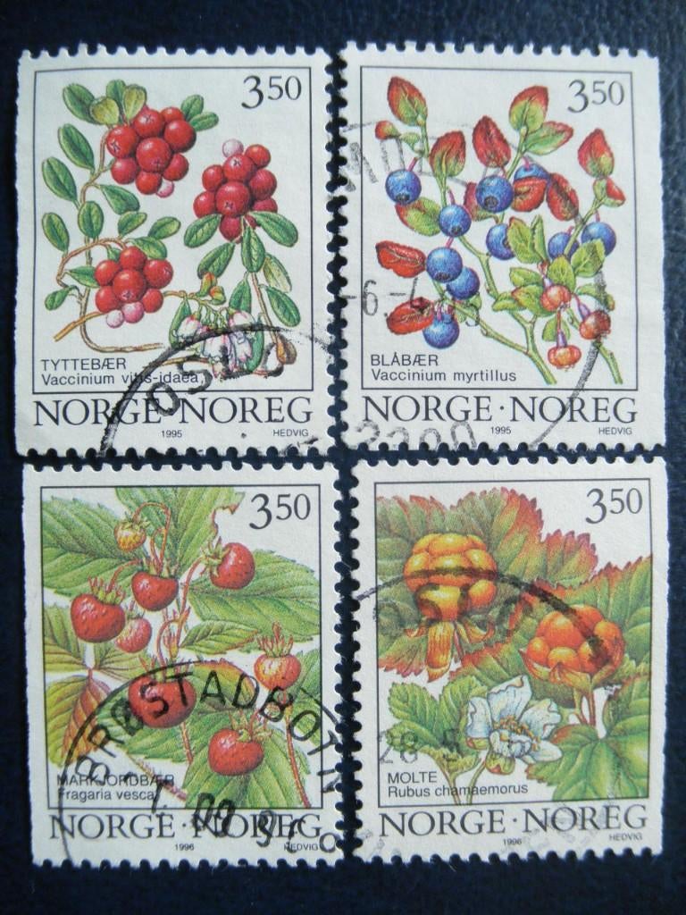 Postzegels Noorwegen 1995 - 1996 vruchten - cat.w. € 2,00., Ophalen of Verzenden, Noorwegen, Gestempeld