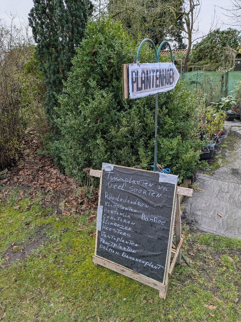 Tuinplanten in veel soorten, Tuin en Terras, Vaste plant, Halfschaduw, Zomer, Ophalen