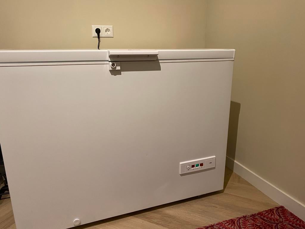 Vrieskist, Ophalen, Zo goed als nieuw, 90 cm of meer