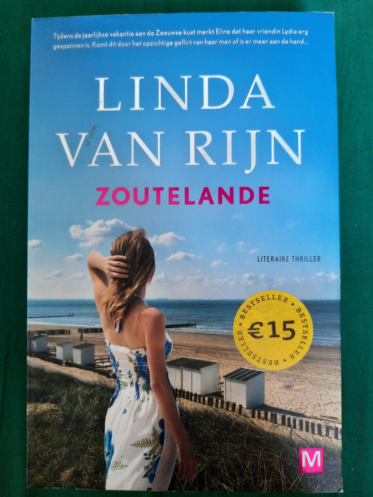 Linda van Rijn  - Zoutelande, Boeken, Linda van Rijn, Ophalen of Verzenden, Zo goed als nieuw, Nederland