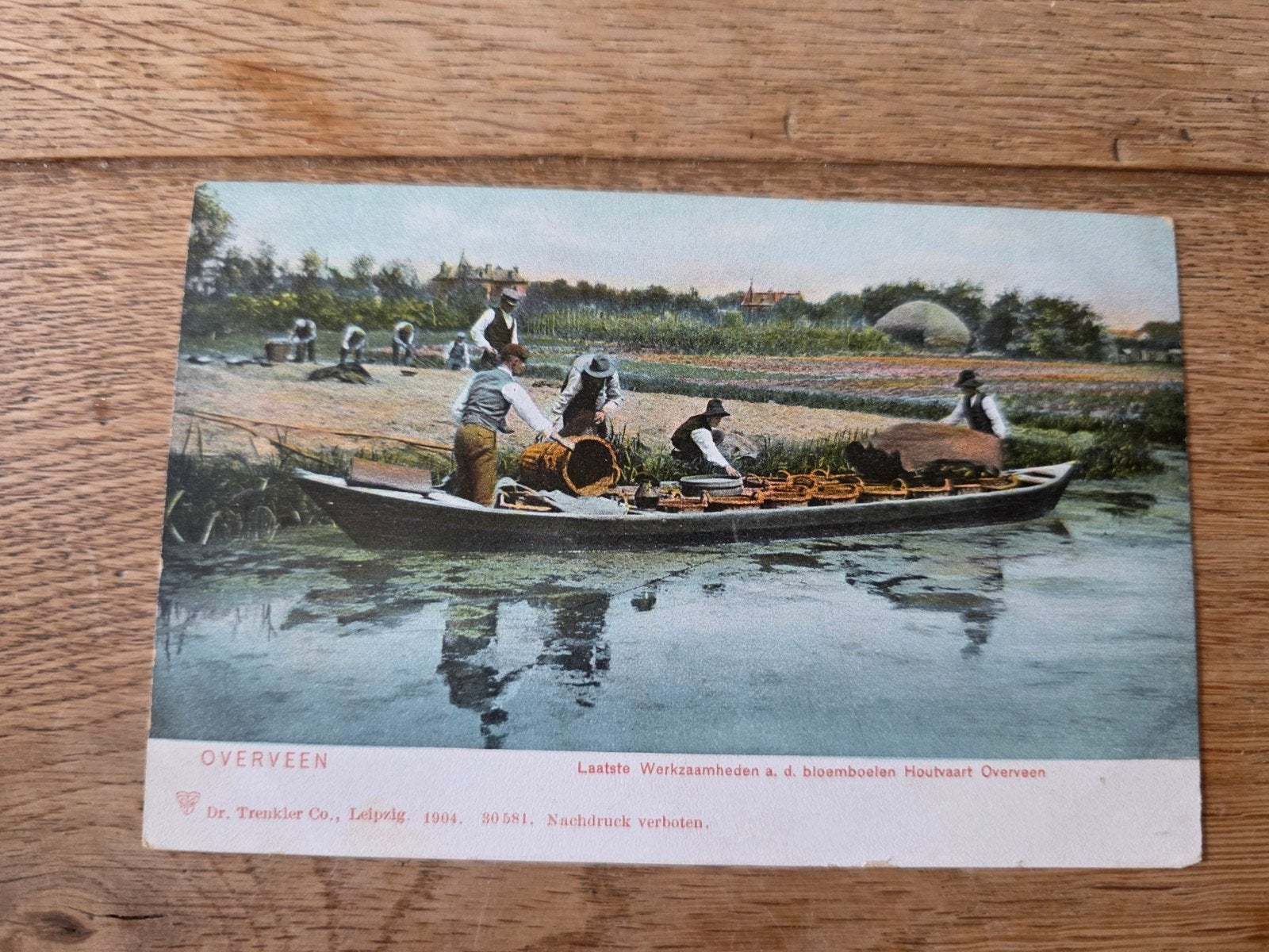 Bollenvelden Haarlem en omstreken, Ophalen of Verzenden
