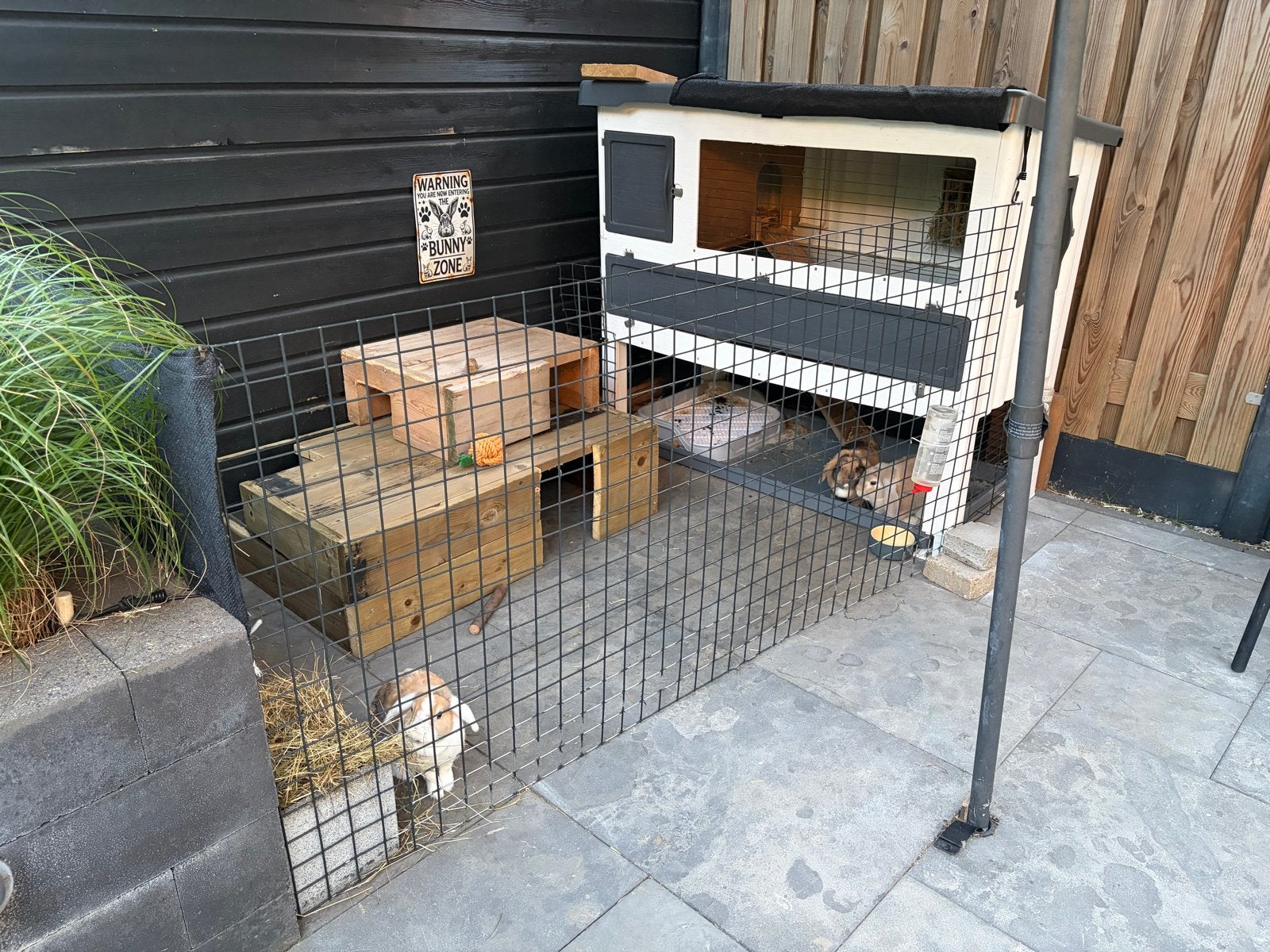 Compleet konijnenhok incl 3 konijnen, Dieren en Toebehoren, Knaagdieren en Konijnen | Hokken en Kooien, Ophalen, 90 cm of meer