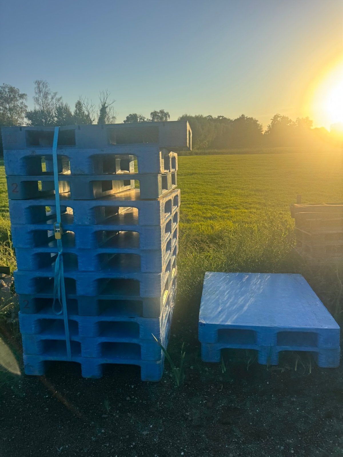 12 Kunstof pallets hygiene pallets glad voortent vloer, Caravans en Kamperen, Ophalen, Zo goed als nieuw