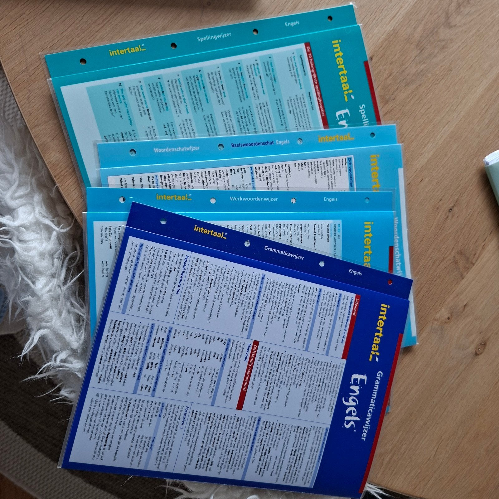Intertaal Spel-, Grammatica- en Werkwoordenwijzers, Non-fictie, Ophalen of Verzenden, Zo goed als nieuw, Nederlands, Engels, Frans