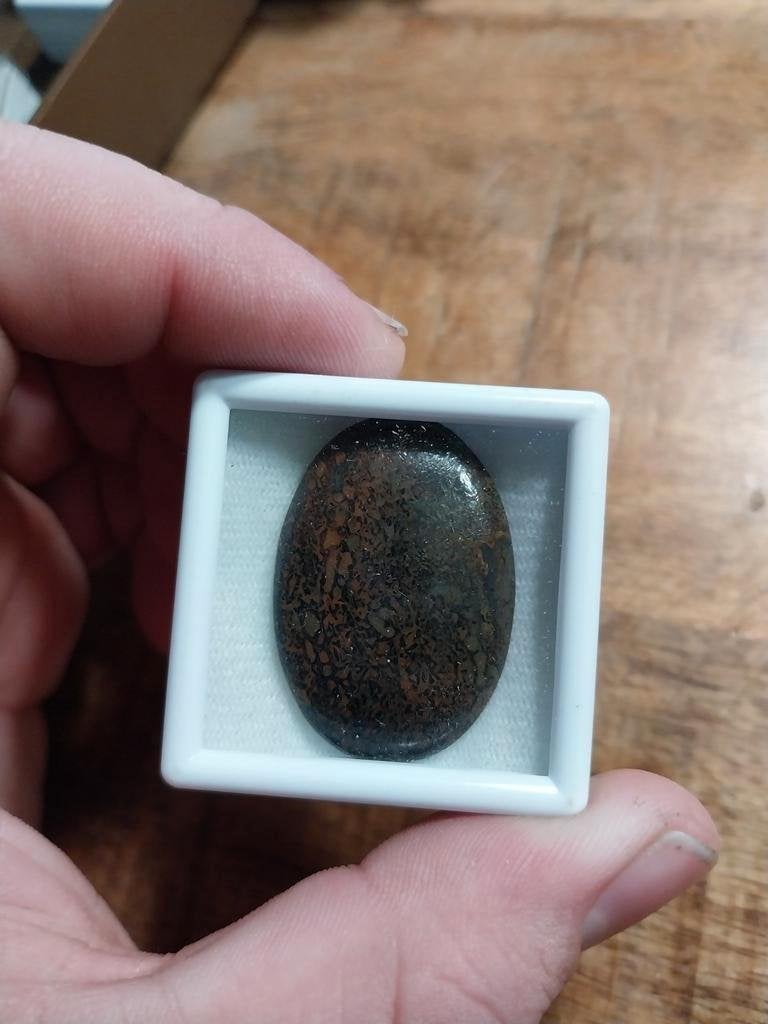 Gepolijst dinosaurs bot cabochon, Ophalen of Verzenden, Zo goed als nieuw